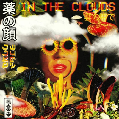 DRUGFACE - In The Clouds
