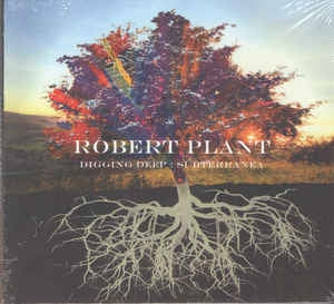 ROBERT PLANT - Digging Deep: Subterranea