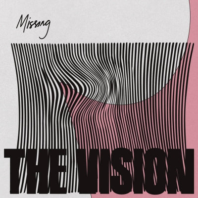 THE VISION - Missing