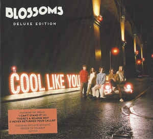 BLOSSOMS - Cool Like You
