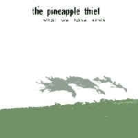 THE PINEAPPLE THIEF - What We Have Sown
