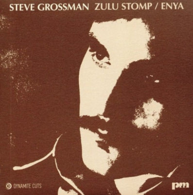 STEVE GROSSMAN - Zulu Stomp / Enya