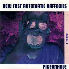 NEW FAST AUTOMATIC DAFFODILS - Pigeonhole