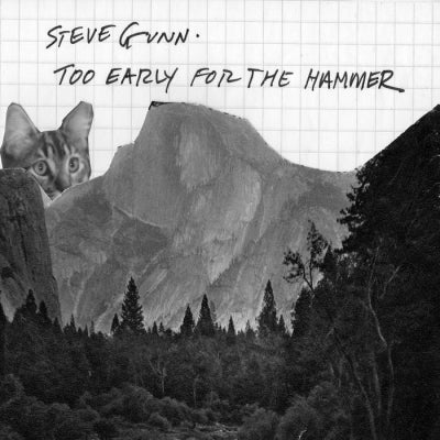 STEVE GUNN - Too Early For The Hammer