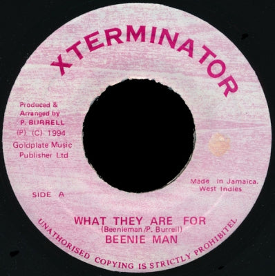 BEENIE MAN - What They Are For