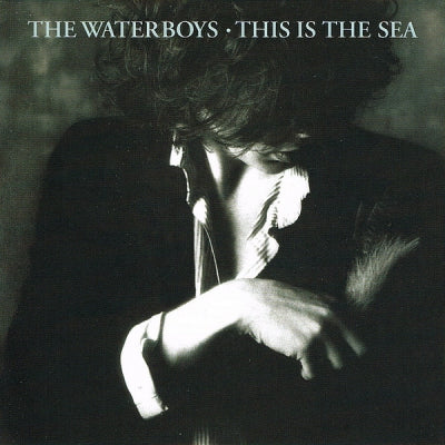 THE WATERBOYS - This Is The Sea
