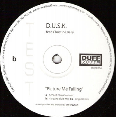 D.U.S.K. FEAT. CHRISTINE BAILY - Picture Me Falling