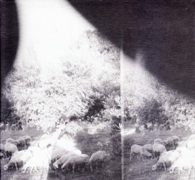 GODSPEED YOU! BLACK EMPEROR - Asunder, Sweet And Other Distress