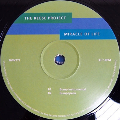 THE REESE PROJECT - Miracle Of Life