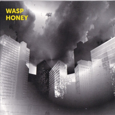 WASP HONEY - Wasp Honey