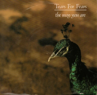 TEARS FOR FEARS - The Way You Are / The Marauders