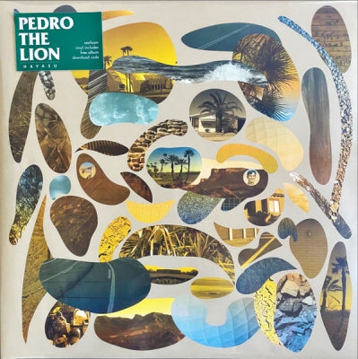 PEDRO THE LION - Havasu