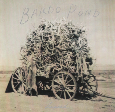 BARDO POND - Lapsed