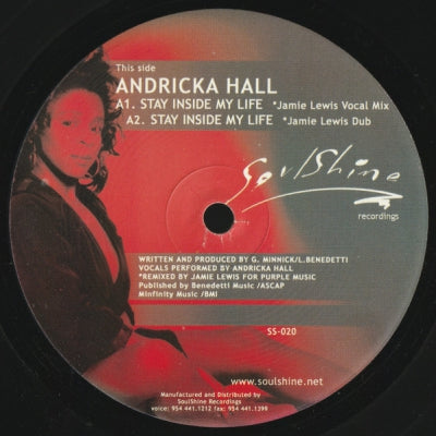 ANDRICKA HALL / DEEP SWING - Stay Inside My Life / Shelter (Remixes)