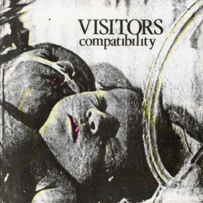 VISITORS - Compatibility