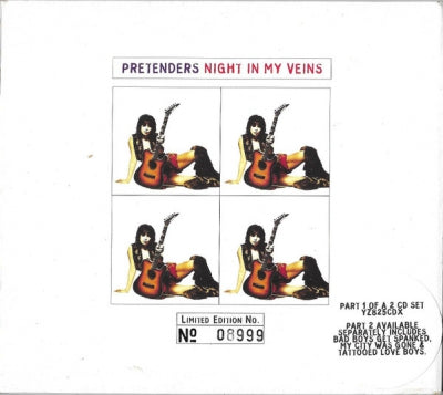 THE PRETENDERS - Night In My Veins