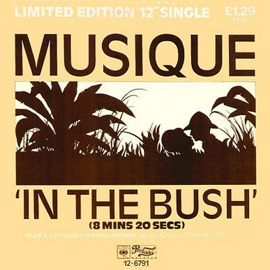 MUSIQUE - In The Bush