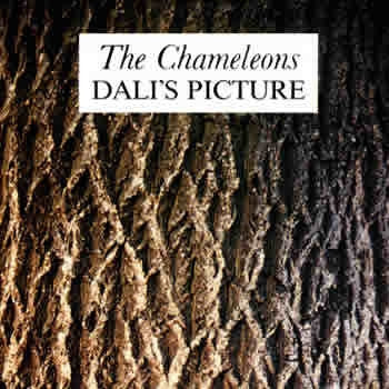 THE CHAMELEONS - Dali's Picture