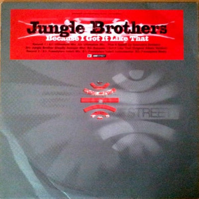 JUNGLE BROTHERS - Because I Got It Like That