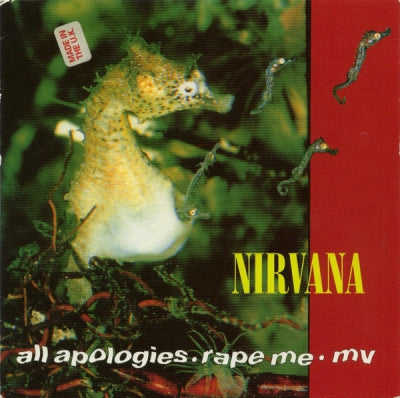 NIRVANA - All Apologies / Rape Me / MV