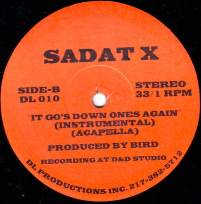 SADAT X (BRAND NUBIAN) - It Go's Down Ones Again