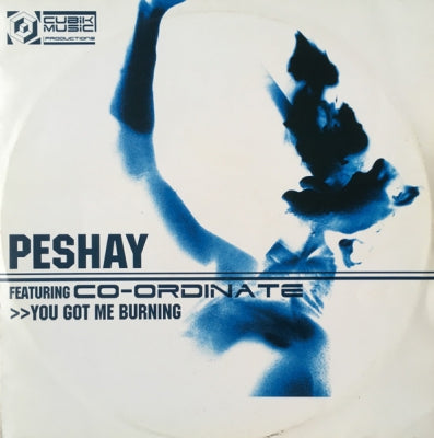 PESHAY FEATURING CO-ORDINATE - You Got Me Burning / Fuzion