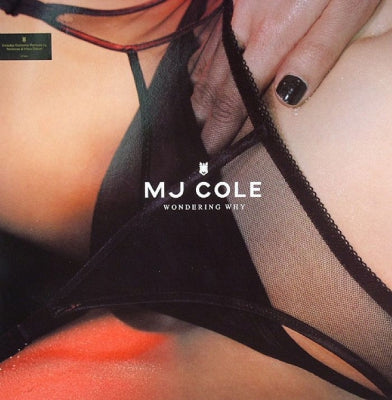 MJ COLE - Wondering Why (Influx Datum Remix)