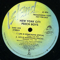 NEW YORK CITI PEECH BOYS - Life Is Something Special