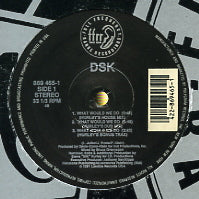 DSK - What Would We Do / Read My Lips