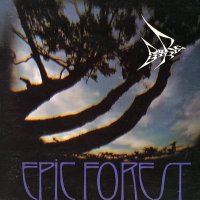 RARE BIRD - Epic Forest