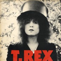 T. REX - The Slider