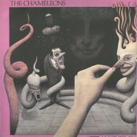 THE CHAMELEONS - Strange Times