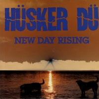 HUSKER DU - New Day Rising