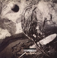 DAVID SYLVIAN - Secrets of the Beehive