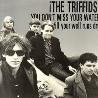 THE TRIFFIDS - You Don't Miss Your Water (Till Your Well Runs Dry)