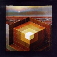 BLACK MOUNTAIN - In The Future