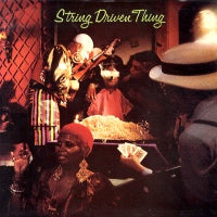 STRING DRIVEN THING - String Driven Thing