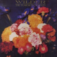 TEARDROP EXPLODES - Wilder