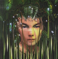 BJORK - Bachelorette