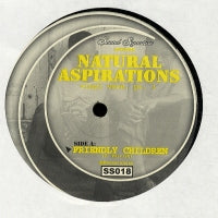 THEO PARRISH - Natural Aspirations