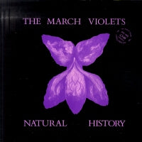 MARCH VIOLETS - Natural History