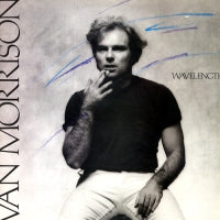VAN MORRISON  - Wavelength