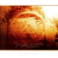 APHEX TWIN - Selected Ambient Works Volume II