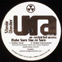 STEVIE WONDER - Make Sure You're Sure