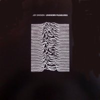 JOY DIVISION - Unknown Pleasures