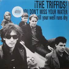 THE TRIFFIDS - You Don't Miss Your Water (Till Your Well Runs Dry)