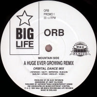 THE ORB - A Huge Ever Growing Remix
