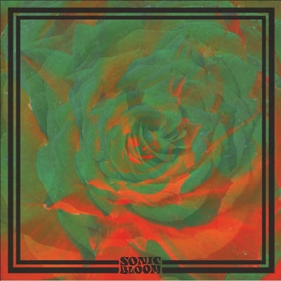 NIGHT BEATS  - Sonic Bloom