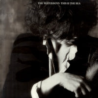 THE WATERBOYS - This Is The Sea