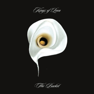 KINGS OF LEON - The Bucket